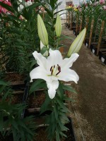 [5518 PO18 OT WIT 11-31-11 No01.JPG]